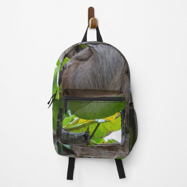 Item preview, No Worries – Two-Toed Sloth Sleeping in the Rainforest Canopy, Costa Rica Wildlife Photography designed and sold by WildFrameNature.