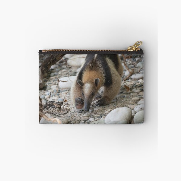 Item preview, On the Sniff – Northern Tamandua Anteater Foraging on Rocky Beach, Costa Rica Wildlife Photography designed and sold by WildFrameNature.