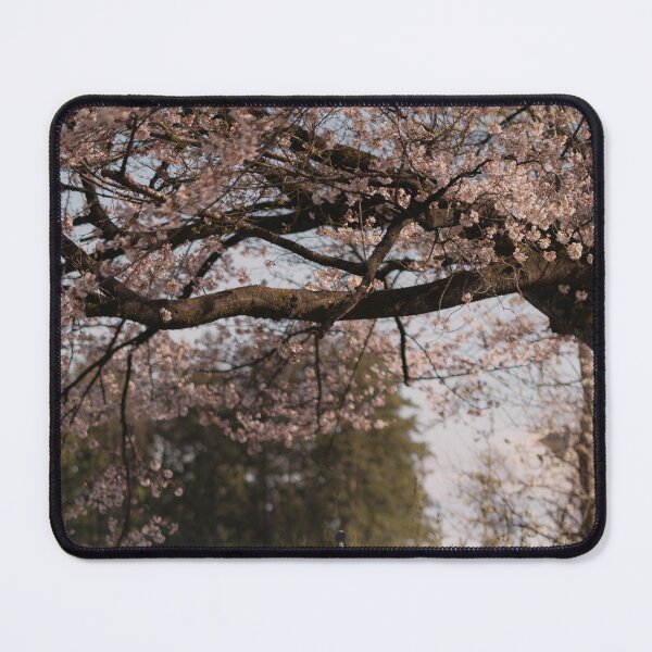 Item preview, Swinging Into Sakura Season designed and sold by Akquired Taste.