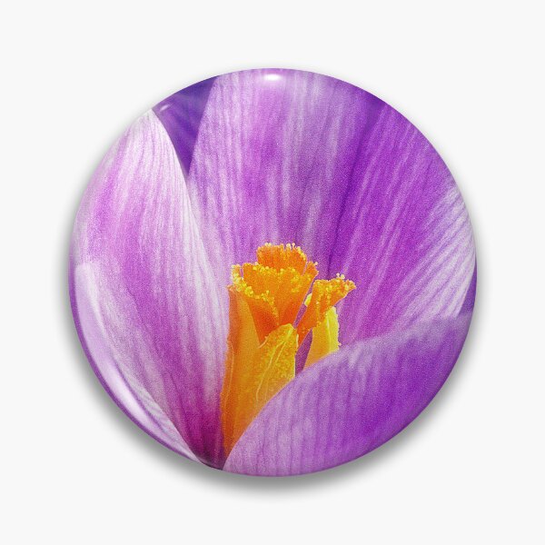 Item preview, Crocus Flower, Early Spring Morning Sunlight designed and sold by AMacGPhilly.