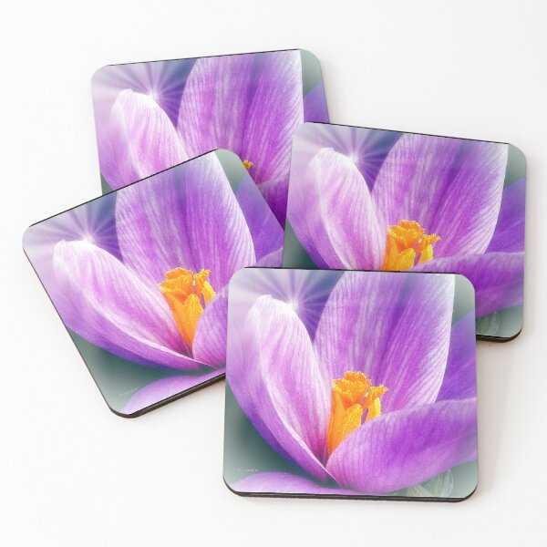 Item preview, Crocus Flower, Early Spring Morning Sunlight designed and sold by AMacGPhilly.