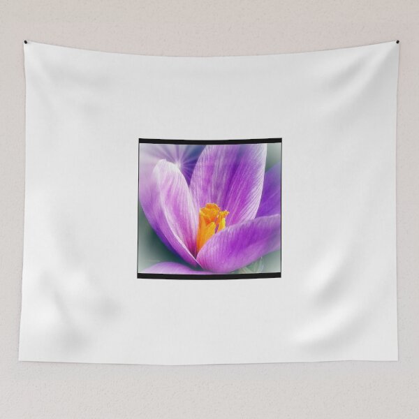Item preview, Crocus Flower, Early Spring Morning Sunlight designed and sold by AMacGPhilly.