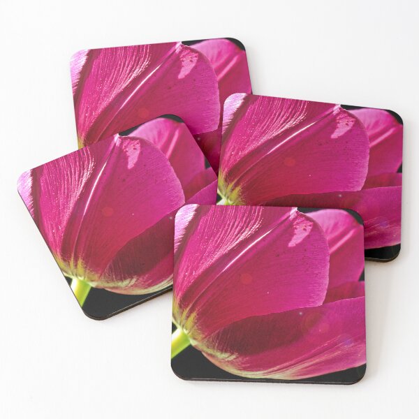 Item preview, Darwinian Tulip in Full Bloom designed and sold by AMacGPhilly.