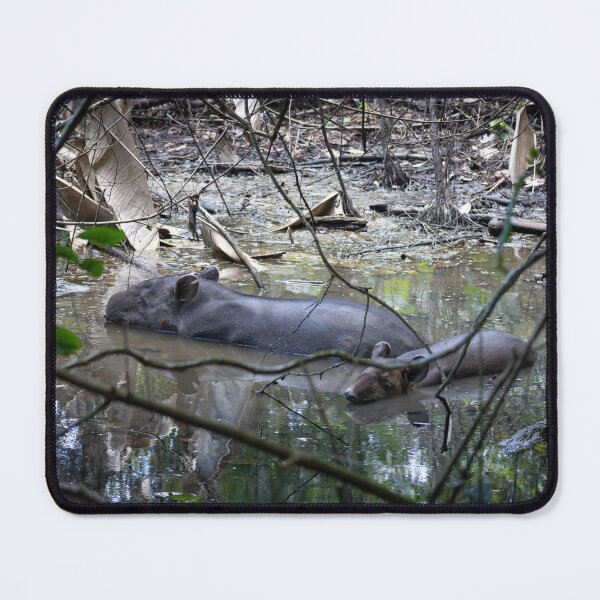 Item preview, Hidden Giants – Baird's Tapir Mother and Calf Resting in Forest Pool, Costa Rica Wildlife Photography designed and sold by WildFrameNature.