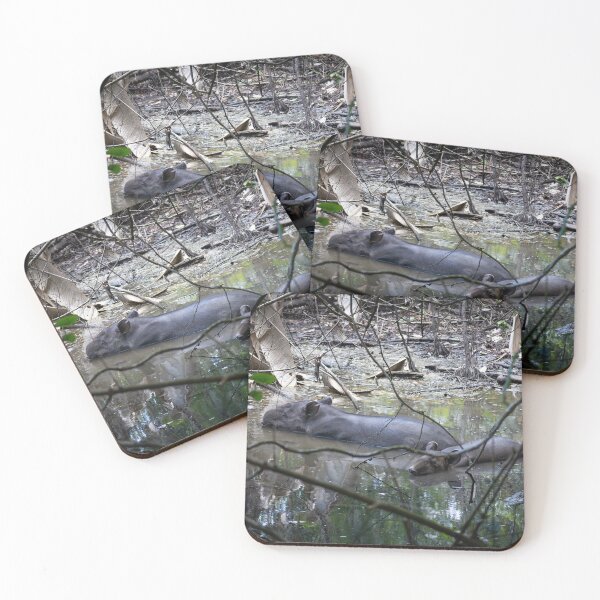 Item preview, Hidden Giants – Baird's Tapir Mother and Calf Resting in Forest Pool, Costa Rica Wildlife Photography designed and sold by WildFrameNature.
