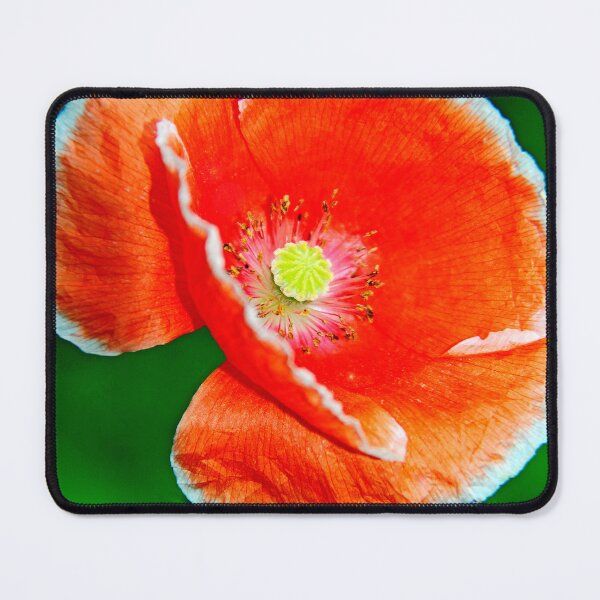 Item preview, Oriental Poppy in Full Bloom designed and sold by AMacGPhilly.