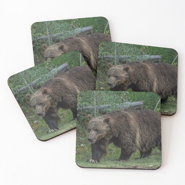 Item preview, Those claws! designed and sold by DiamondZPhotos.