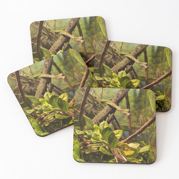 Item preview, Tree climber  designed and sold by Off the wall.