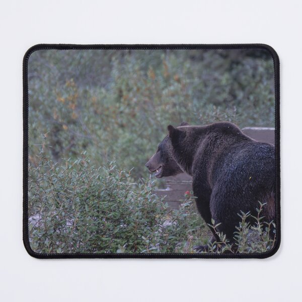 Item preview, Onto the Next designed and sold by DiamondZPhotos.