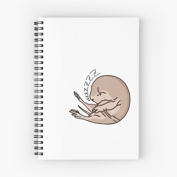 Item preview, Baby naked mole rat sleeping cute designed and sold by Nouci.
