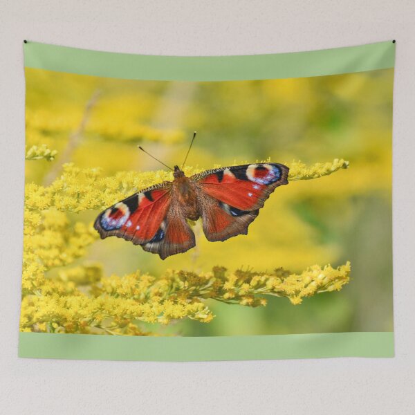 Item preview, Butterfly Close Up designed and sold by StylishDecor.