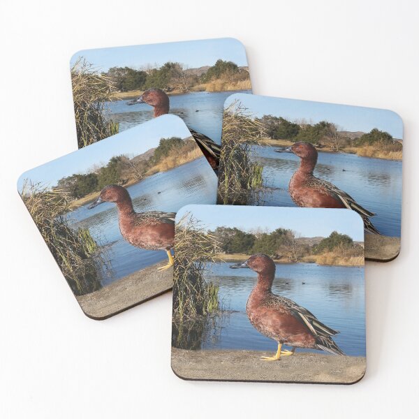 Item preview, Big Duck at Lake Murray designed and sold by heatherfriedman.