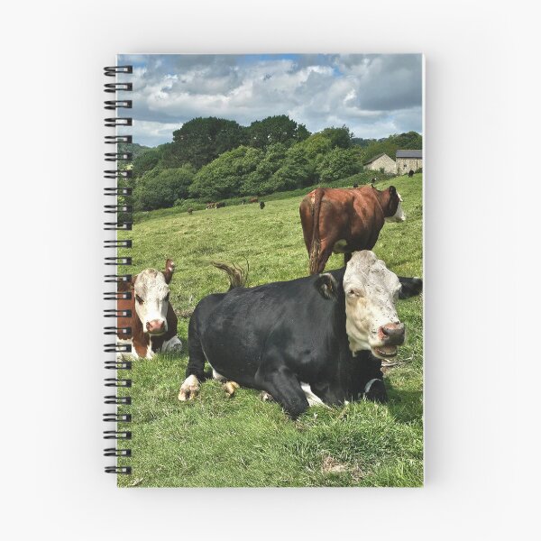 Item preview, Moo Coos at Branscombe designed and sold by Kat Simmons.