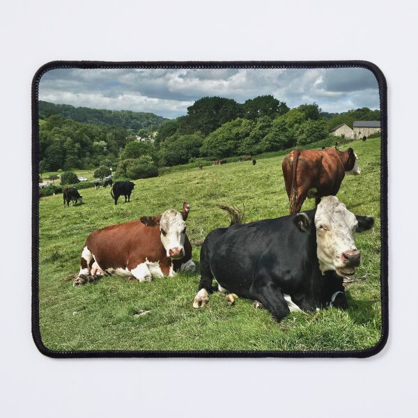 Item preview, Moo Coos at Branscombe designed and sold by Kat Simmons.