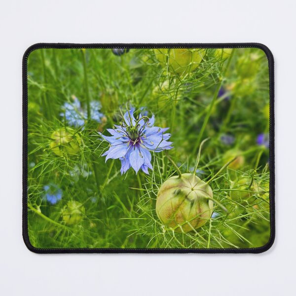 Item preview, Floral August I designed and sold by Kat Simmons.