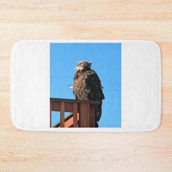 Item preview, Young eagle designed and sold by zumi.