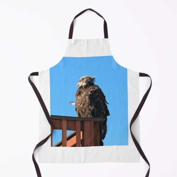 Item preview, Young eagle designed and sold by zumi.