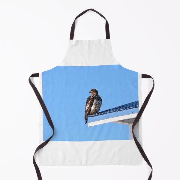 Item preview, Young eagle II designed and sold by zumi.
