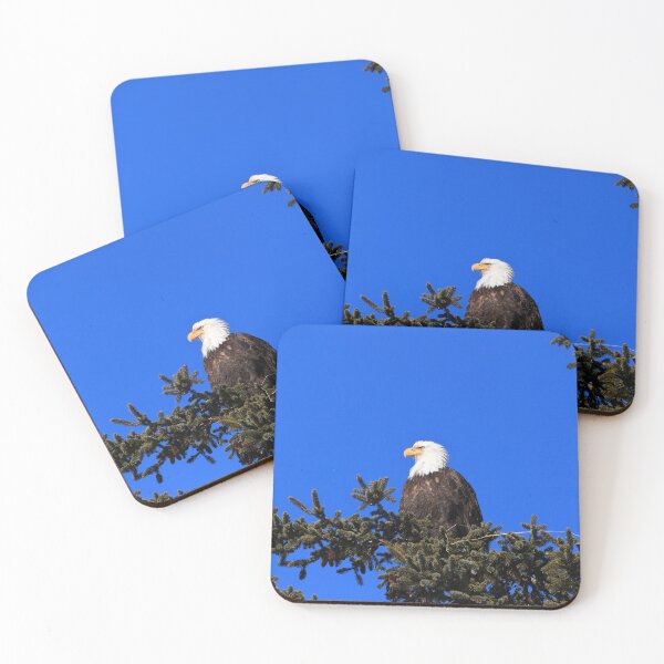 Item preview, Adult Bald Eagle designed and sold by zumi.