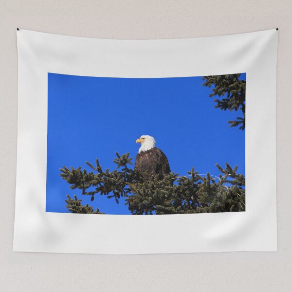 Item preview, Adult Bald Eagle designed and sold by zumi.