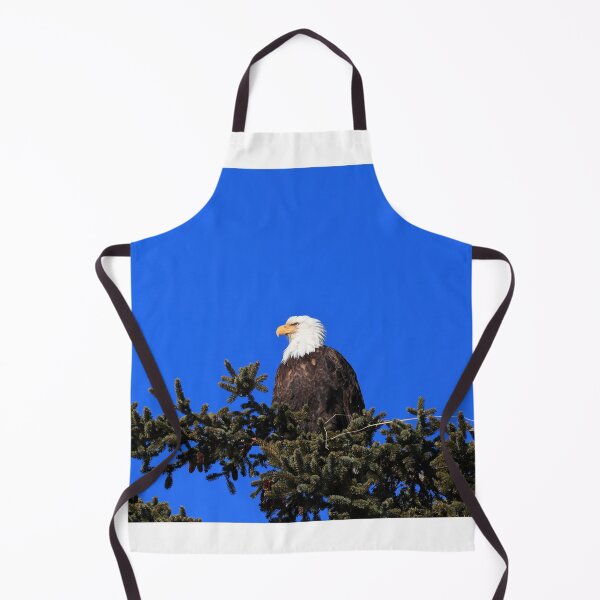 Item preview, Adult Bald Eagle designed and sold by zumi.