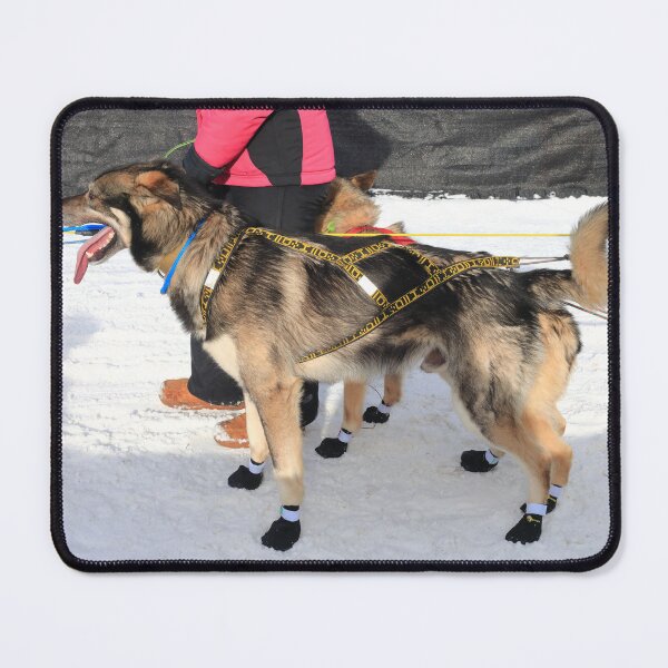 Item preview, Dogs of Iditarod 2026 designed and sold by zumi.