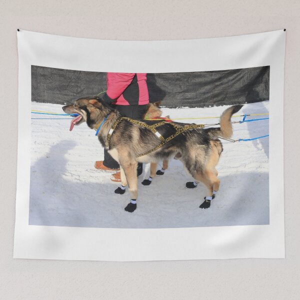 Item preview, Dogs of Iditarod 2026 designed and sold by zumi.