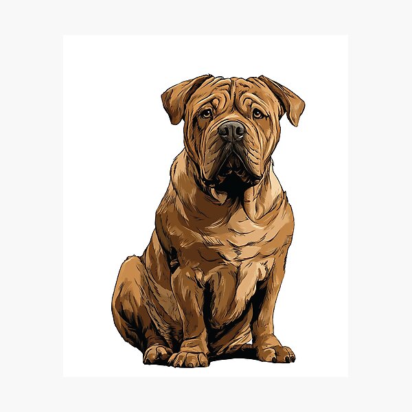 Item preview, Dogue de Bordeaux Dog Illustration designed and sold by whyitsme.