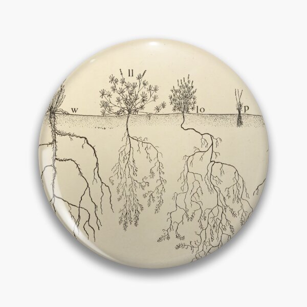 Item preview, Root systems by John Weaver from "The Ecological Relations of Roots," 1919 designed and sold by mariapopova.