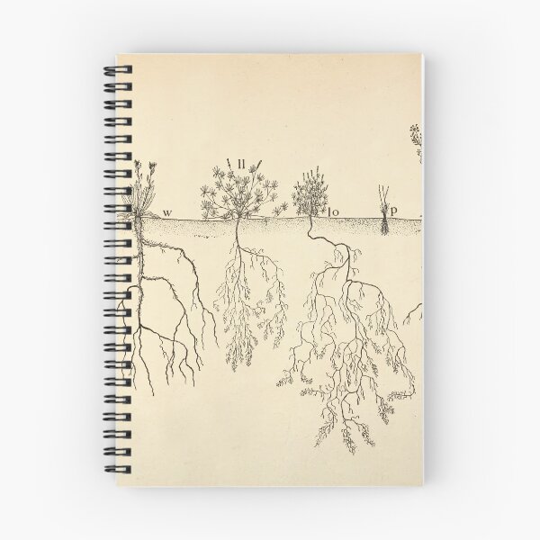 Item preview, Root systems by John Weaver from "The Ecological Relations of Roots," 1919 designed and sold by mariapopova.