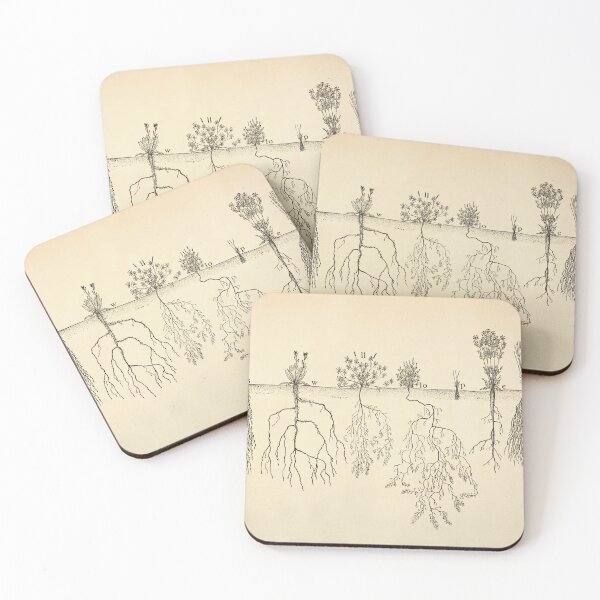 Item preview, Root systems by John Weaver from "The Ecological Relations of Roots," 1919 designed and sold by mariapopova.