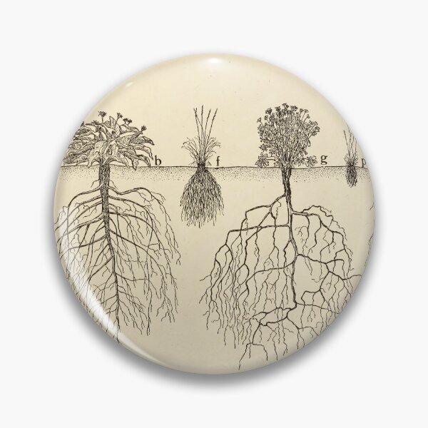 Item preview, Root systems by John Weaver from "The Ecological Relations of Roots," 1919 designed and sold by mariapopova.