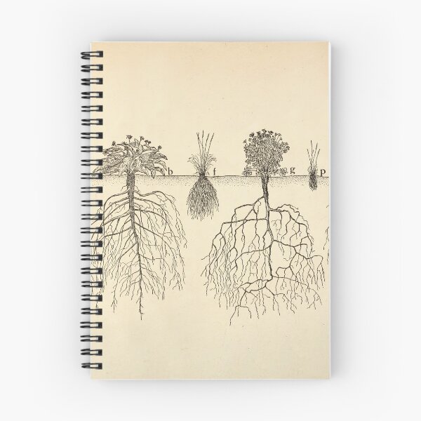 Item preview, Root systems by John Weaver from "The Ecological Relations of Roots," 1919 designed and sold by mariapopova.