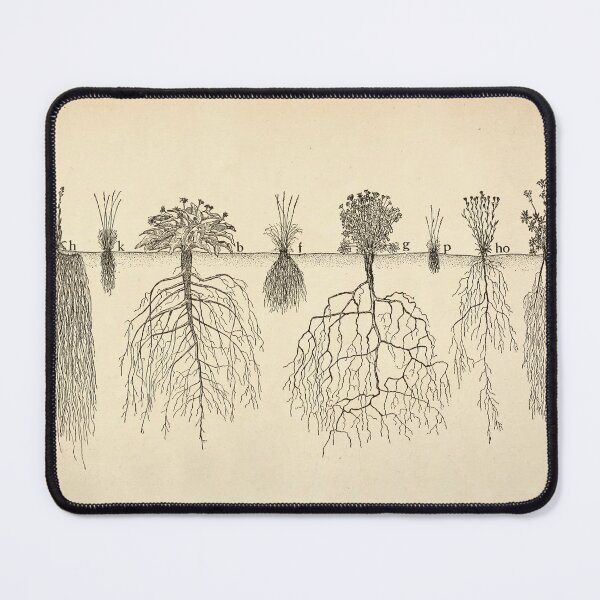 Item preview, Root systems by John Weaver from "The Ecological Relations of Roots," 1919 designed and sold by mariapopova.