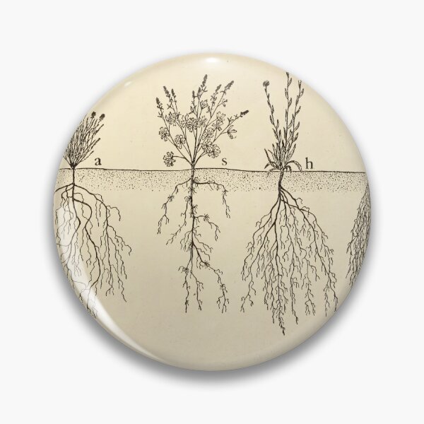 Item preview, Root systems by John Weaver from "The Ecological Relations of Roots," 1919 designed and sold by mariapopova.