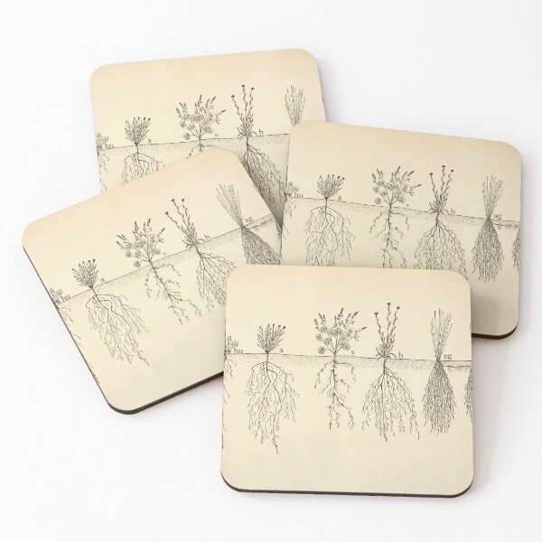 Item preview, Root systems by John Weaver from "The Ecological Relations of Roots," 1919 designed and sold by mariapopova.