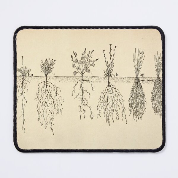 Item preview, Root systems by John Weaver from "The Ecological Relations of Roots," 1919 designed and sold by mariapopova.