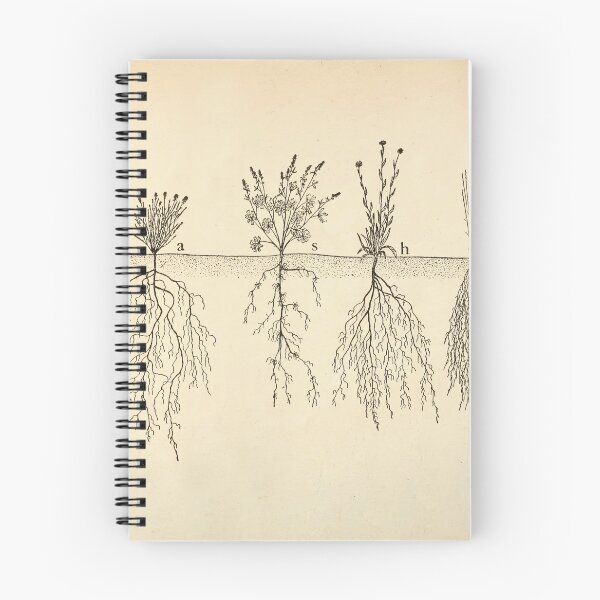 Item preview, Root systems by John Weaver from "The Ecological Relations of Roots," 1919 designed and sold by mariapopova.