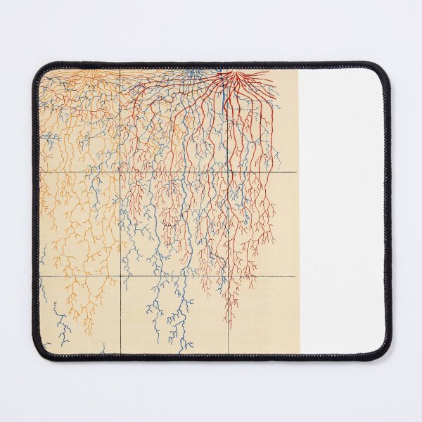 Item preview, Root systems by John Weaver from "The Ecological Relations of Roots," 1919 designed and sold by mariapopova.