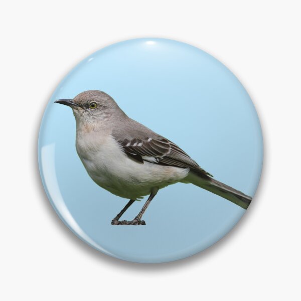 Item preview, Northern Mockingbird designed and sold by kyra0nicole.