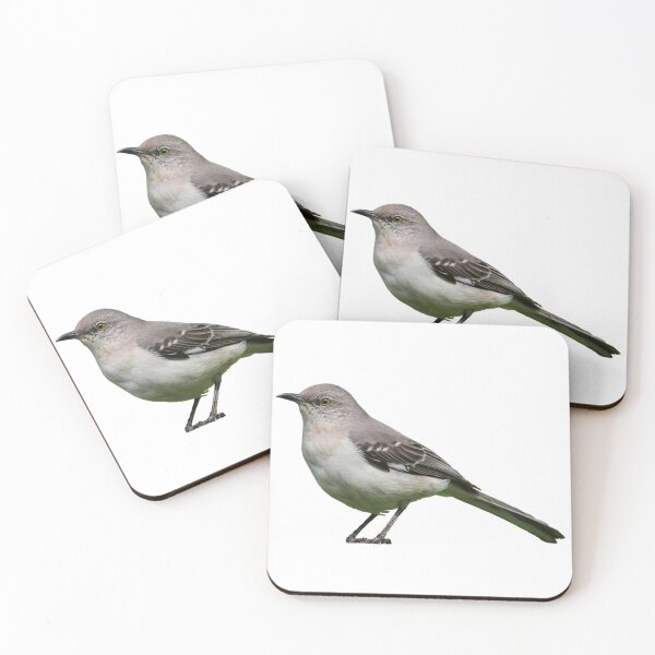 Item preview, Northern Mockingbird designed and sold by kyra0nicole.