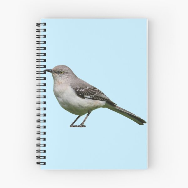 Item preview, Northern Mockingbird designed and sold by kyra0nicole.