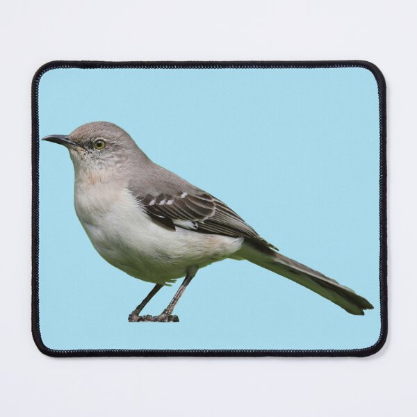 Item preview, Northern Mockingbird designed and sold by kyra0nicole.