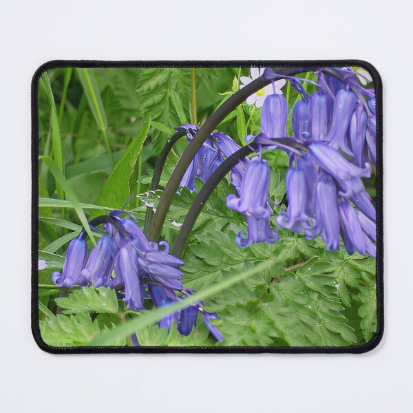 Item preview, Bluebell Flower designed and sold by Katy Fryd.