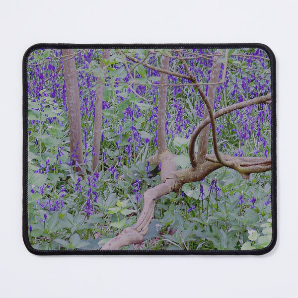 Item preview, Bluebell Wood I designed and sold by Katy Fryd.