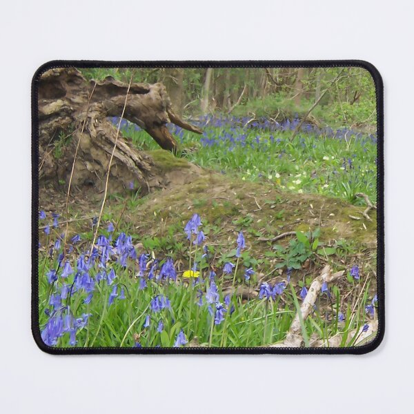 Item preview, Bluebell Wood II designed and sold by Katy Fryd.