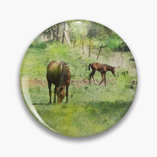 Artikelvorschau, Kunstwerk „Pferdewiese“ – Frühlingsfohlen (Rechteckige Version) entworfen und verkauft von studiobprints.