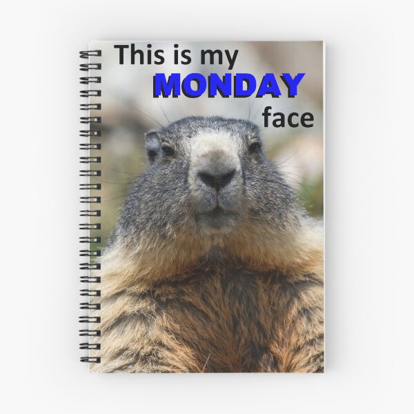 Item preview, This Is My Monday Face — Grumpy Marmot Funny Wildlife Meme designed and sold by AnotherMarmot.