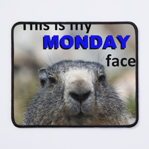 Item preview, This Is My Monday Face — Grumpy Marmot Funny Wildlife Meme designed and sold by AnotherMarmot.
