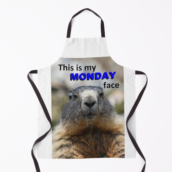 Item preview, This Is My Monday Face — Grumpy Marmot Funny Wildlife Meme designed and sold by AnotherMarmot.